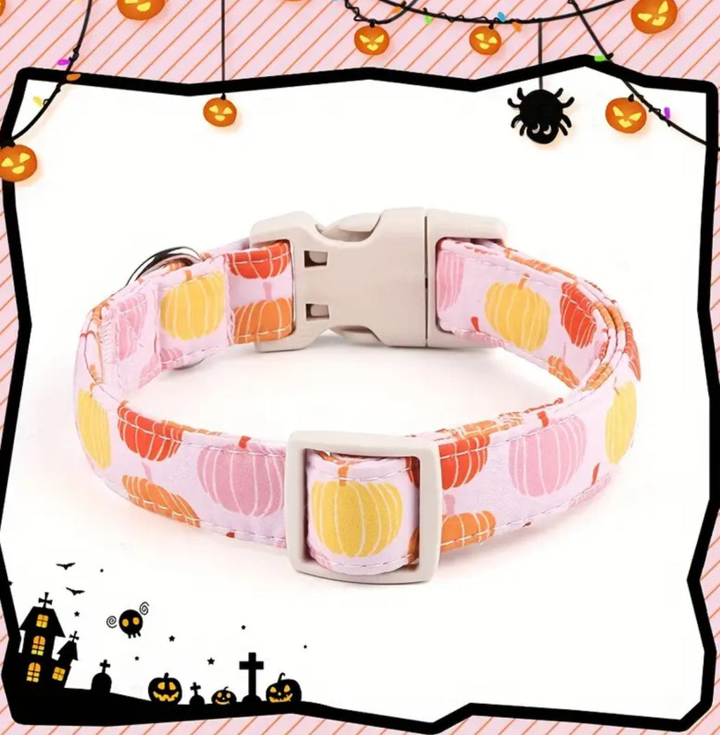 Peaches and pumpkins seasonal dog collar, product view