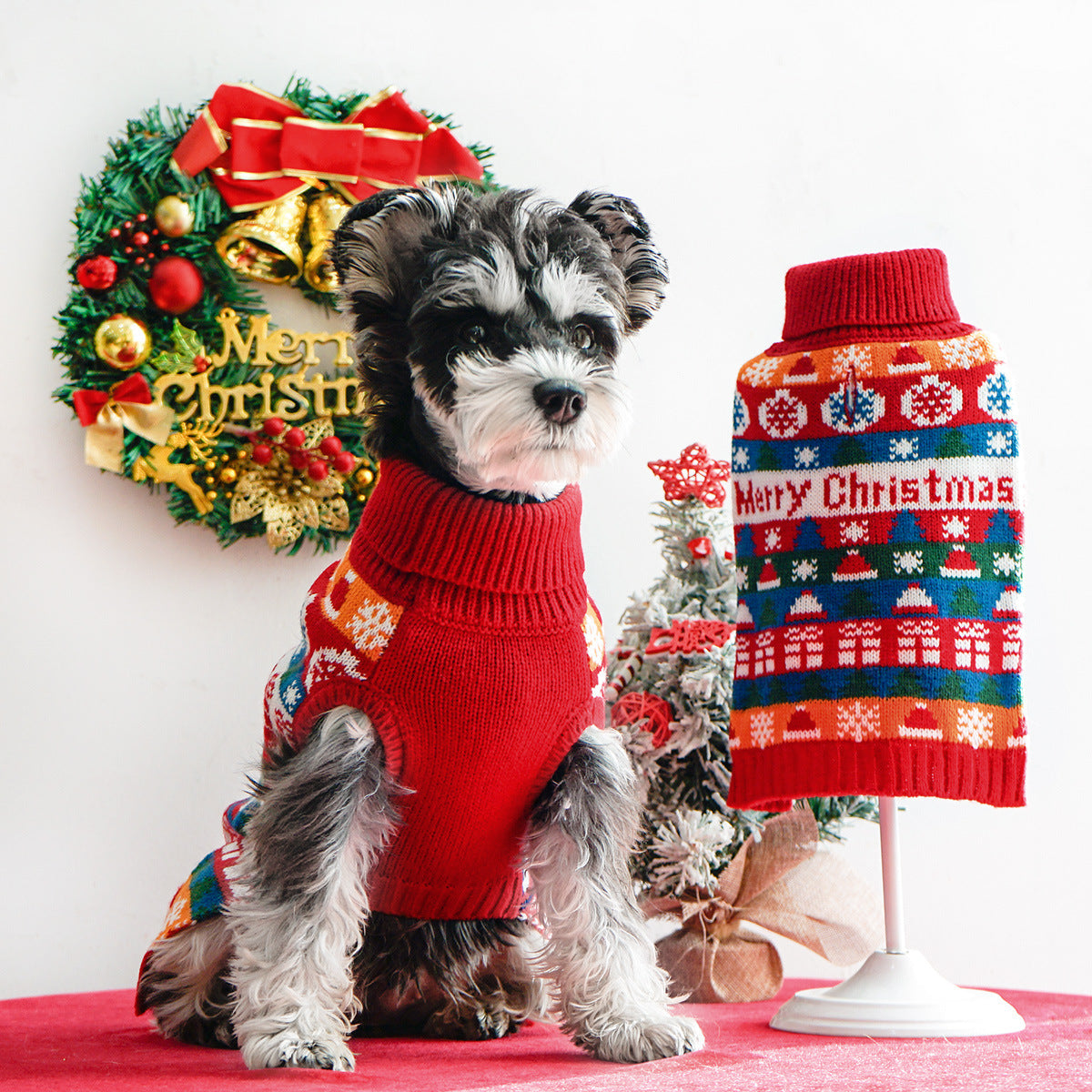 Schnauzer wearing a red Christmas turtleneck dog sweater by DealSpark
