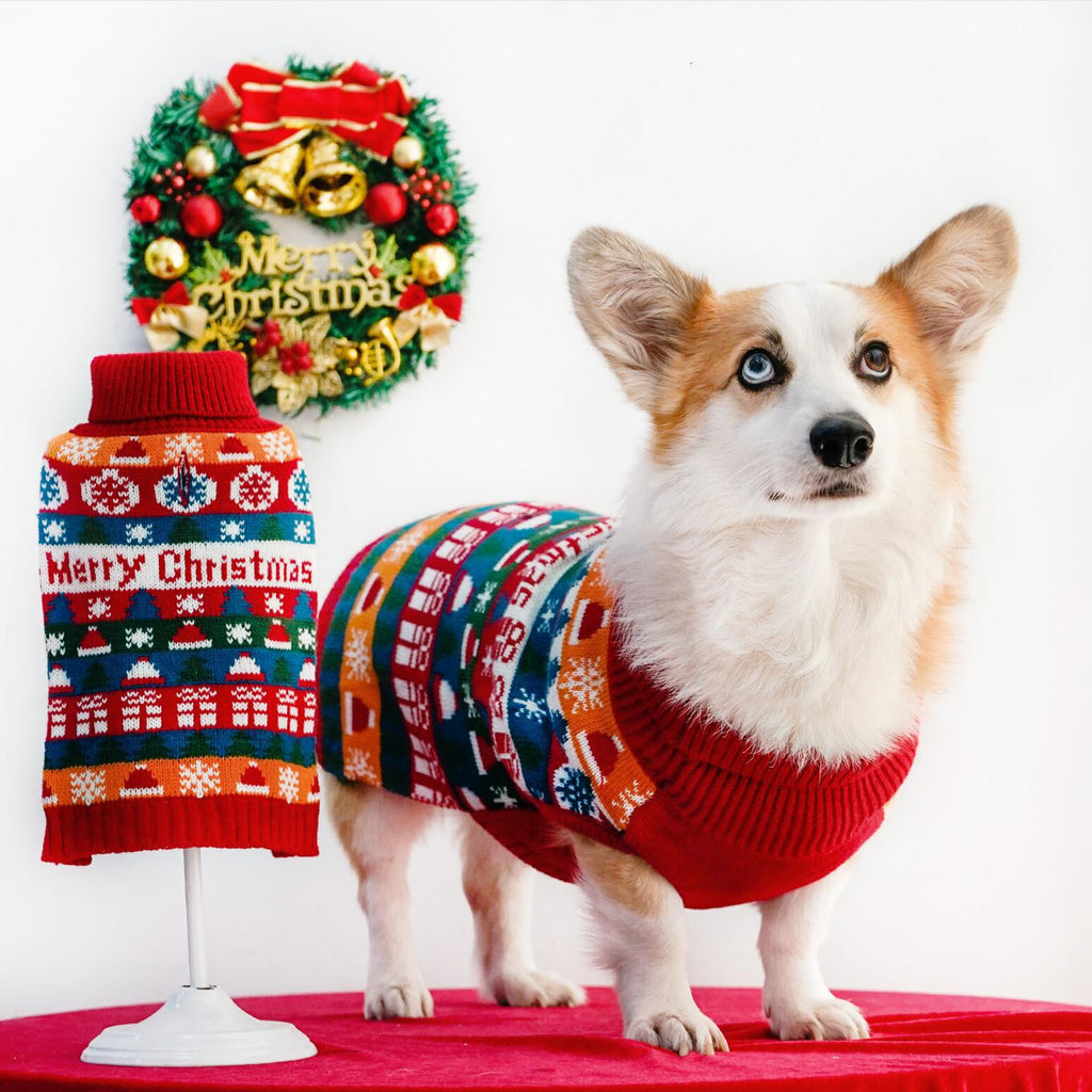 Corgi wearing a colourful Christmas turtleneck dog sweater