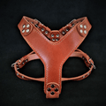 Bestia Style brown leather dog harness with soft padding and stud details by DealSpark