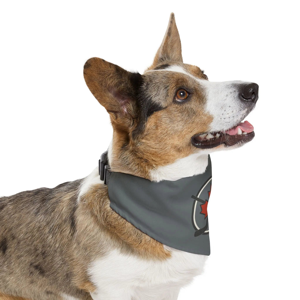 Pet bandana collar product image 11