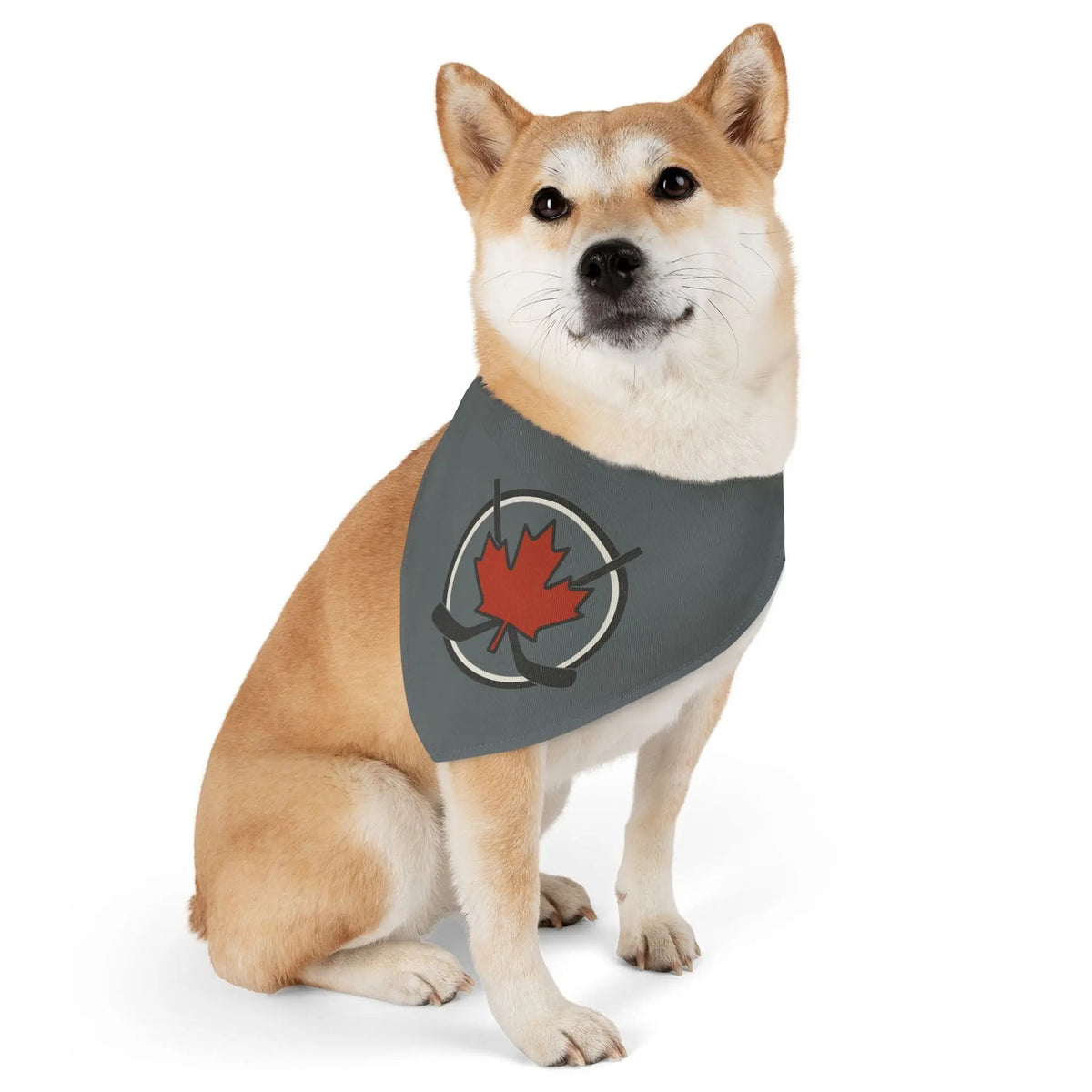 Pet bandana collar product image 1