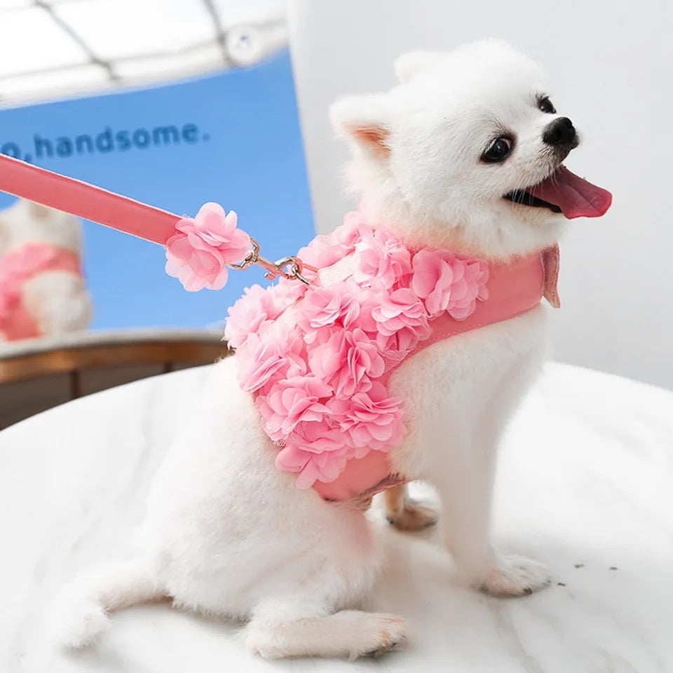 Cherry Blossom Floral Dog Harness & Leash Set