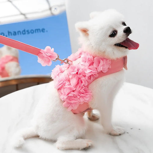 Cherry Blossom Floral Dog Harness & Leash Set