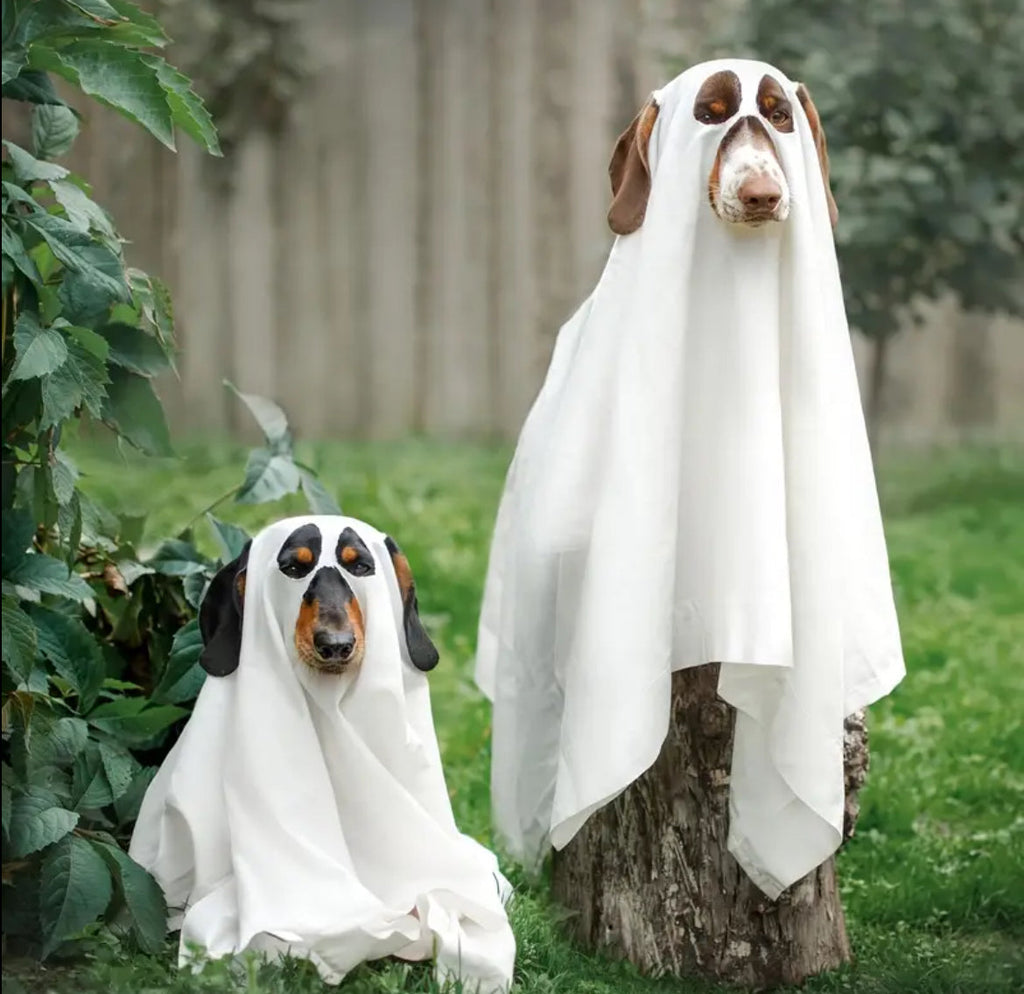 Ghost Dog Costume | Halloween Dog Costume product image