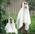 Ghost Dog Costume | Halloween Dog Costume product image