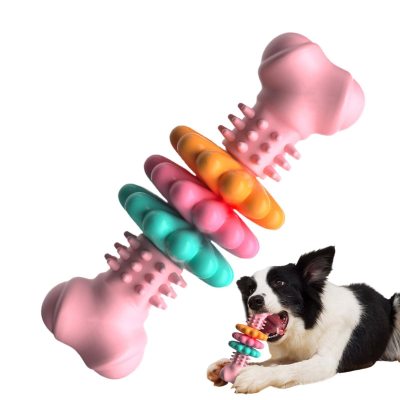 Pink dog chew bone toy with a Border Collie chewing