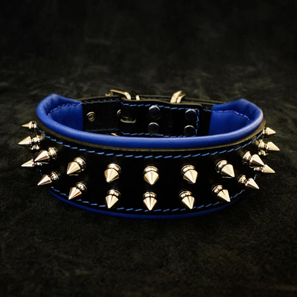 Bestia Frenchie spiked leather dog collar in blue with soft padded lining