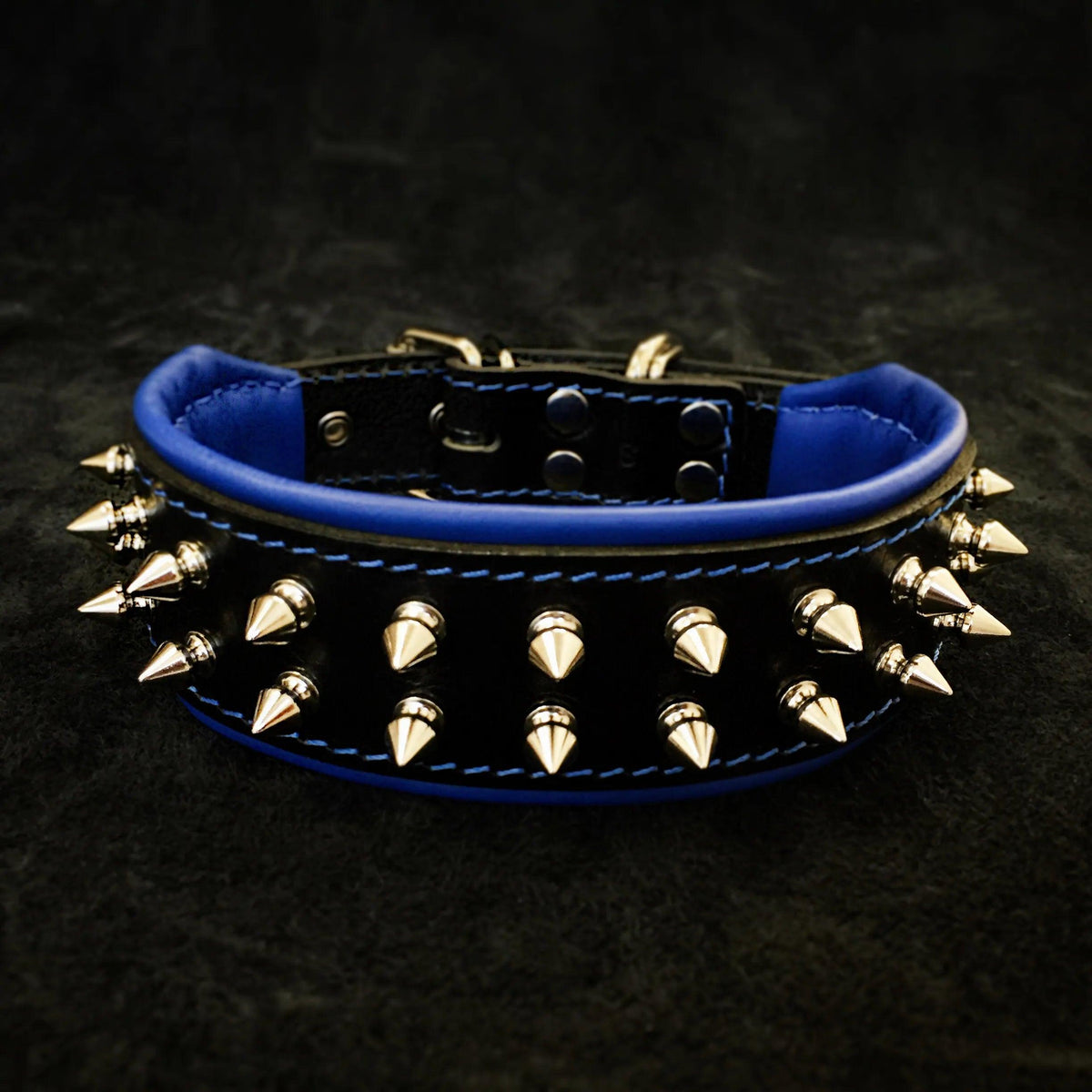 Bestia Frenchie spiked leather dog collar in blue with soft padded lining