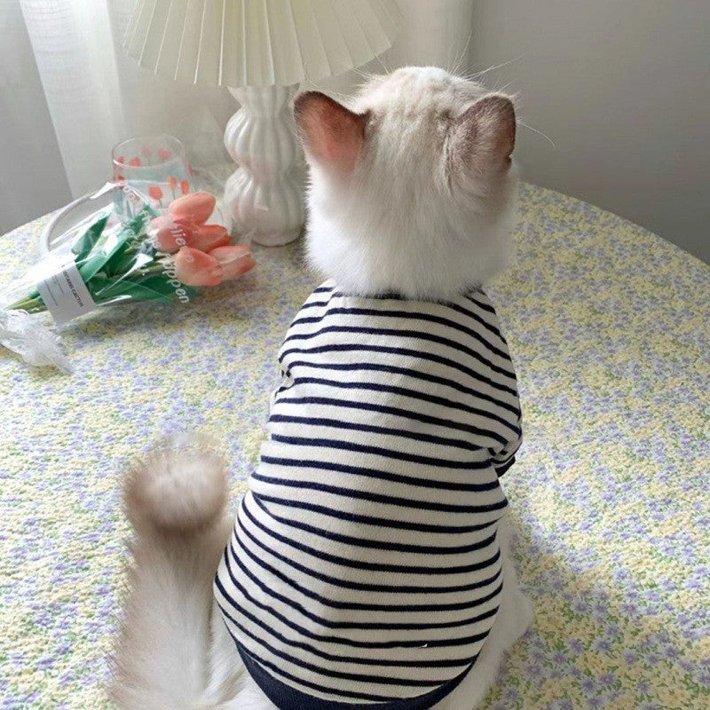 Cat wearing a striped two-leg sweater, back view