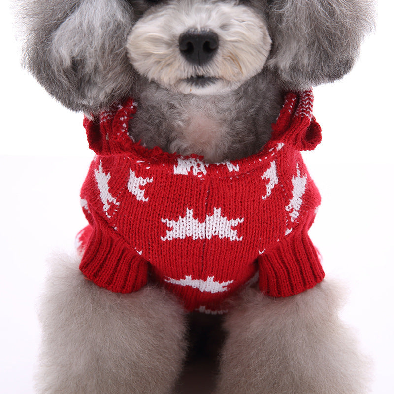 Poodle wearing a red star dog sweater, front view