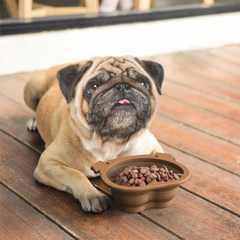 Pug eating from a brown silicone folding travel bowl by DealSpark