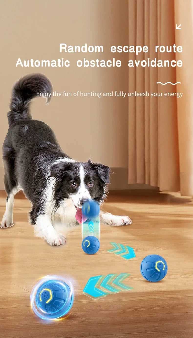 Interactive Smart Dog Ball