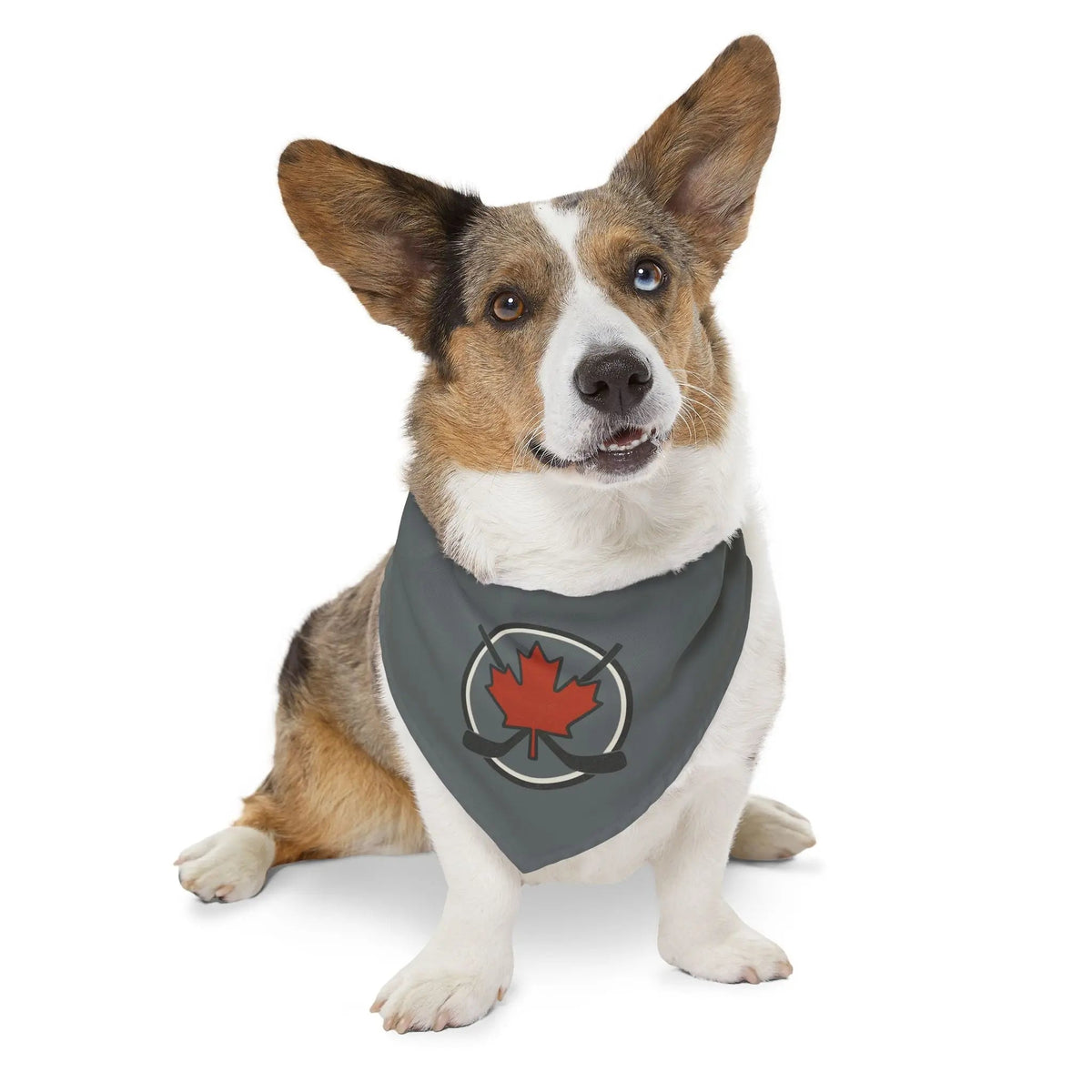 Pet bandana collar product image 10