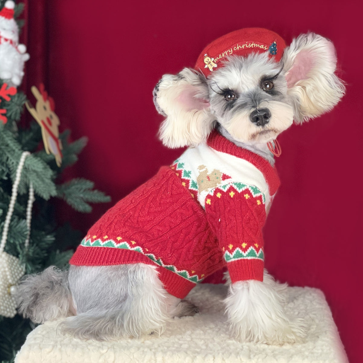 Small dog in a red Christmas sweater sitting by a Christmas tree