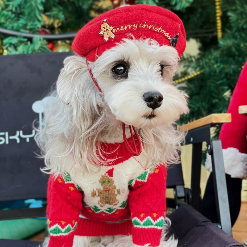 Small dog wearing a red Christmas wool dog sweater and beret by DealSpark