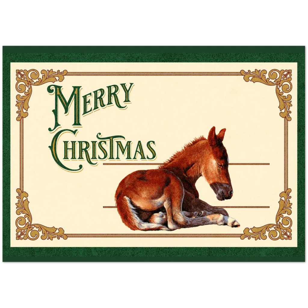 Sleepy Foal Christmas Card – Premium Pack of 10 Greeting Cards