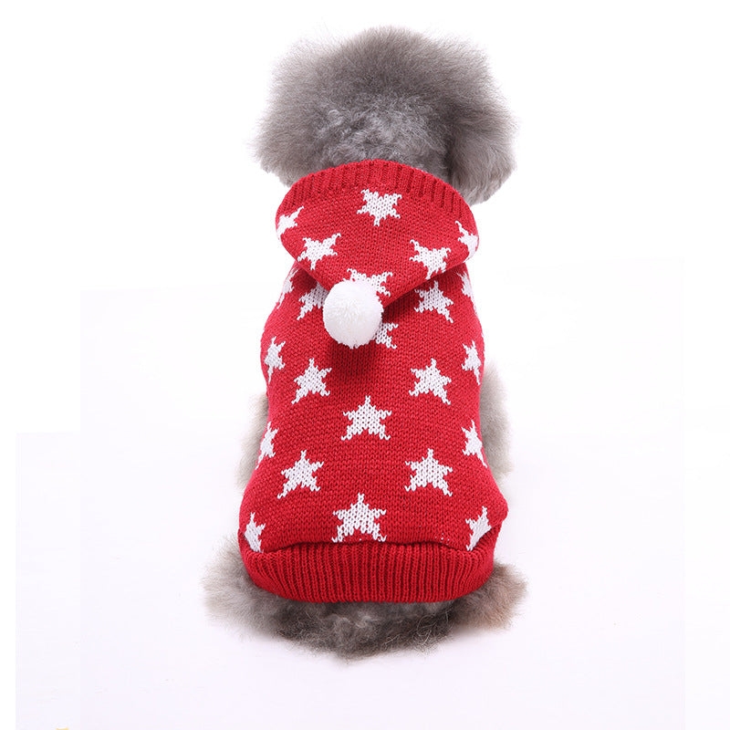 Poodle wearing a red star Christmas dog sweater from behind