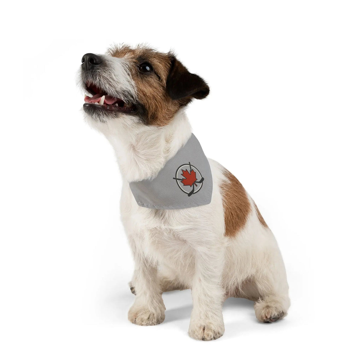 Pet bandana collar product image 8