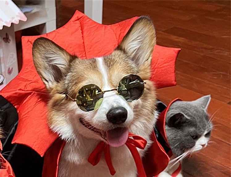 Halloween Dog & Cat Costume – Vampire King Cloak with Spooky Black Design product image 4