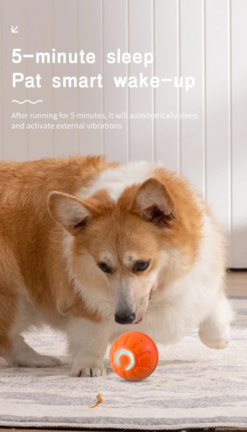 Interactive Smart Dog Ball
