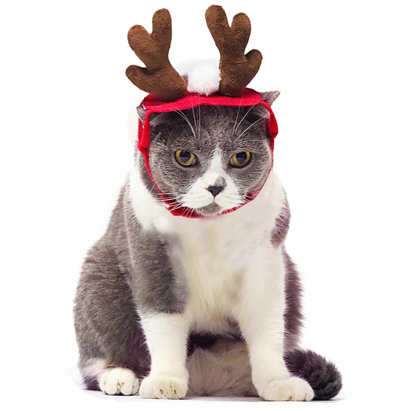 Christmas Reindeer Antler Headband for Dogs - Soft Plush Holiday Costume Accessory