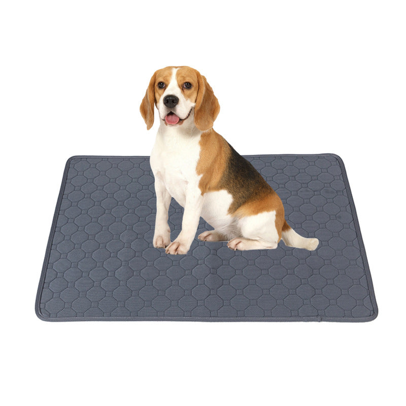 Beagle sitting on a grey washable pee pad for dogs