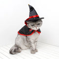 Witch dog costume included in the Halloween Ultimate Pup Gift Bundle