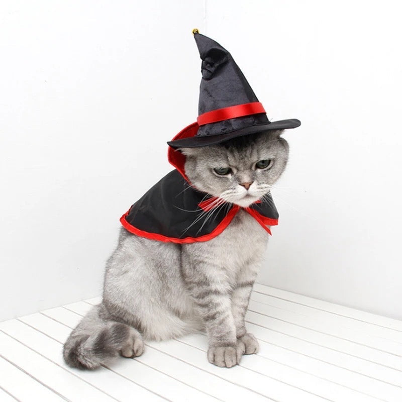 Witch dog costume included in the Halloween Ultimate Pup Gift Bundle