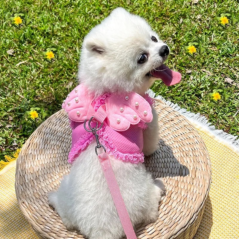 Angel Wings Dog Harness & Leash Walking Set