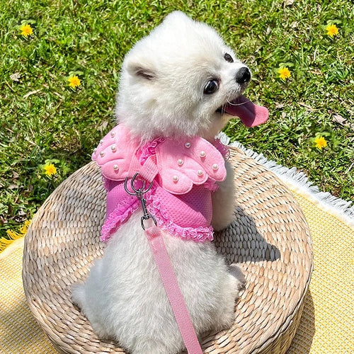 Angel Wings Dog Harness & Leash Walking Set
