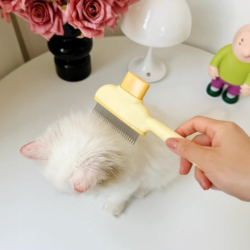 Brushing a white kitten with the self-cleaning slicker brush