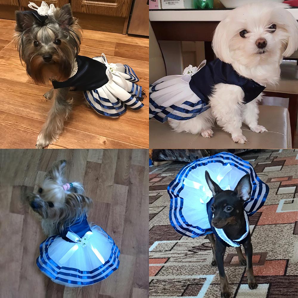 Small dogs wearing the sailor tutu dog dress in navy and blue