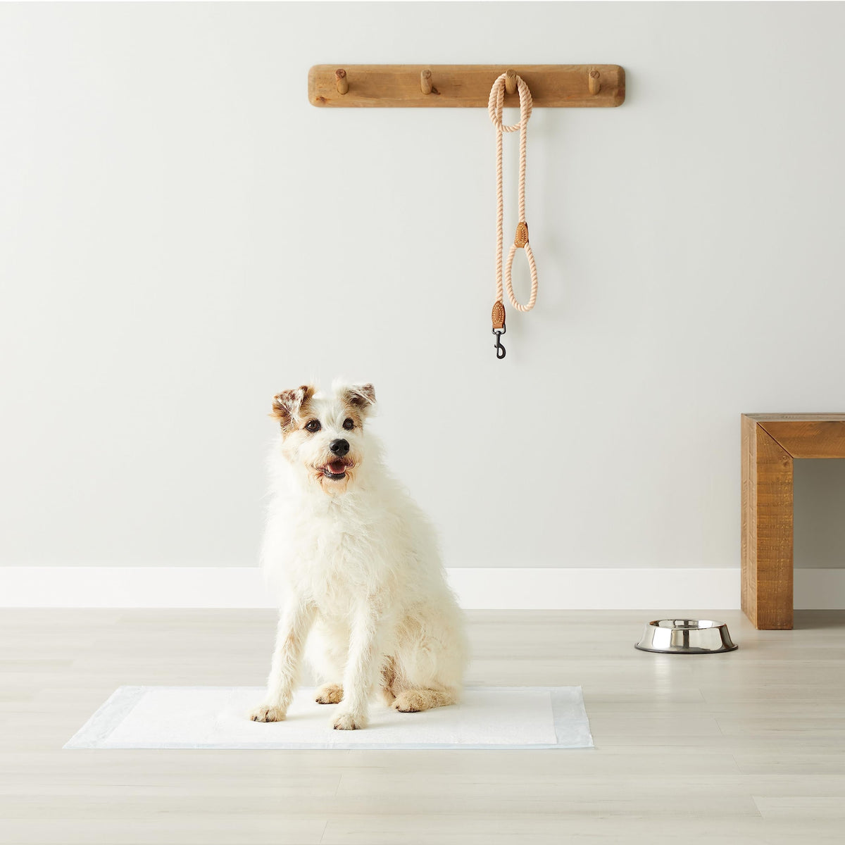 Amazon Basics Puppy Training Pads, 5-Layer Leakproof Design, Quick-Dry Surface, Regular 56 x 56 cm, Pack of 50, Blue