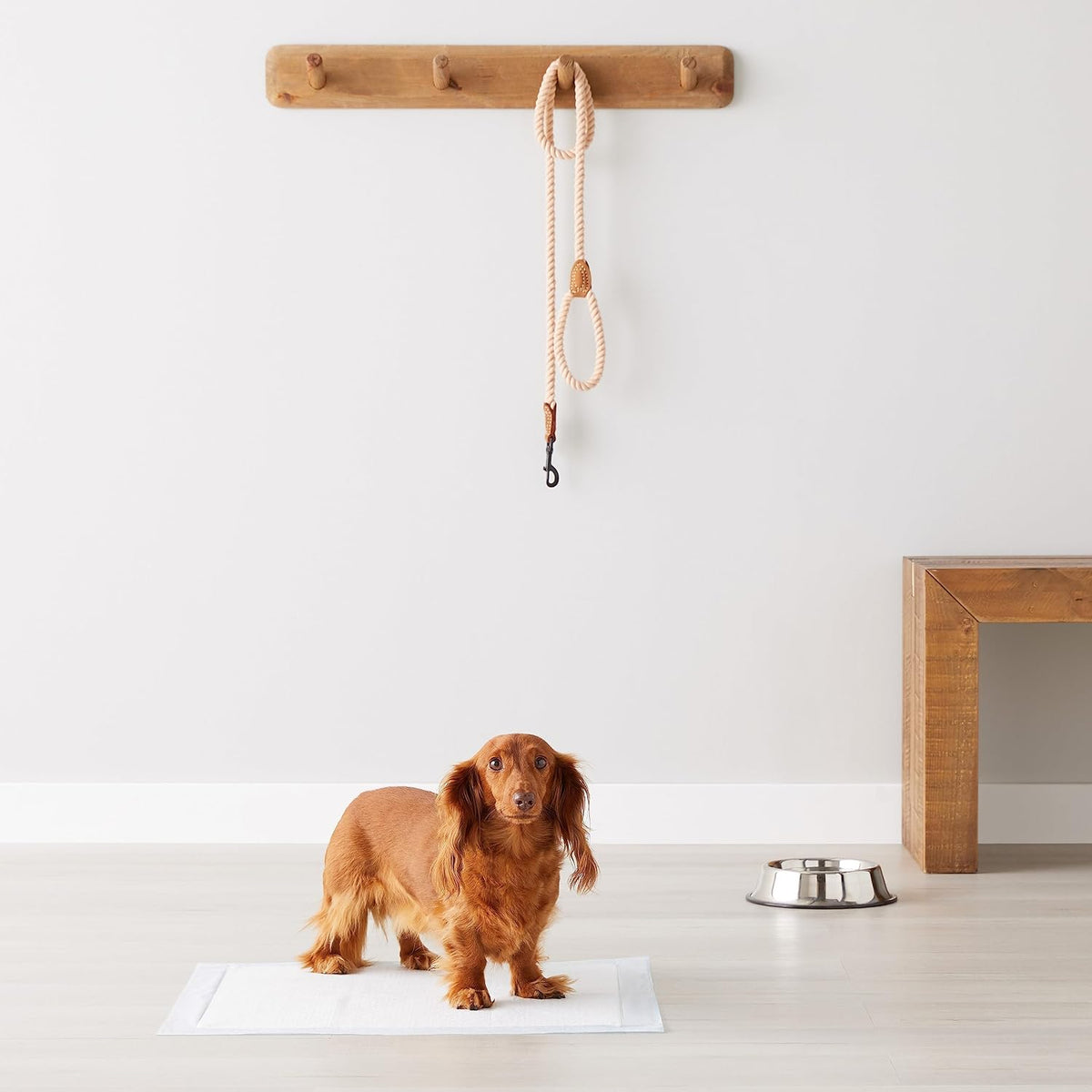 Amazon Basics Puppy Training Pads, 5-Layer Leakproof Design, Quick-Dry Surface, Regular 56 x 56 cm, Pack of 50, Blue