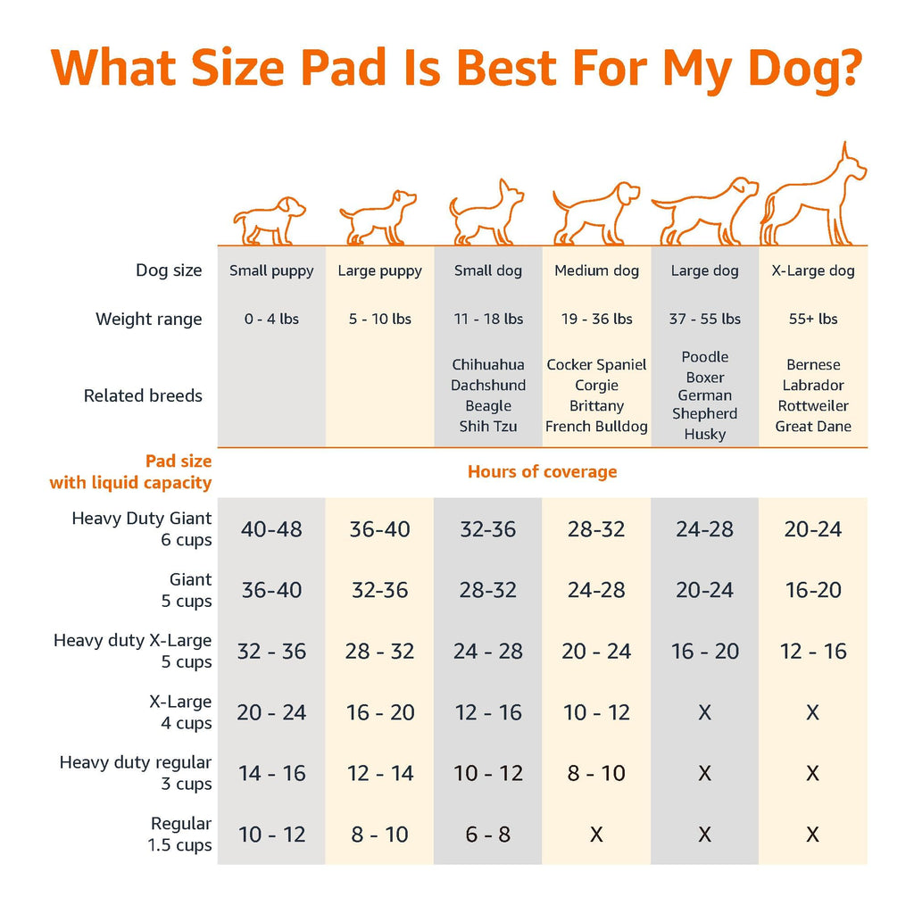 Amazon Basics Puppy Training Pads, 5-Layer Leakproof Design, Quick-Dry Surface, Regular 56 x 56 cm, Pack of 50, Blue