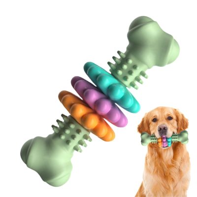 Dog chew bone toy with colourful rings, held by a Golden Retriever by DealSpark