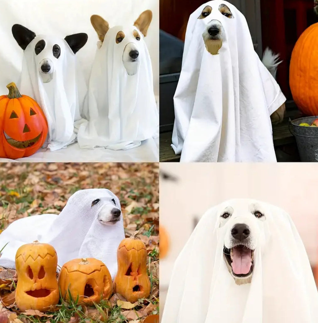Ghost Dog Costume | Halloween Dog Costume product image 2