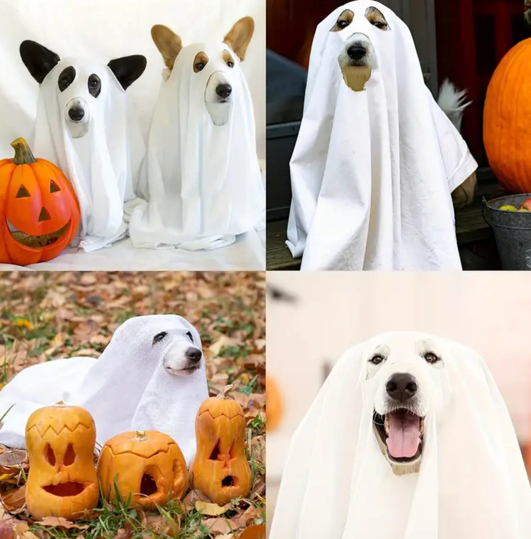 Ghost Dog Costume | Halloween Dog Costume product image 2