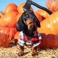Axe Dog Halloween Costume | Pet Costume Prop product image