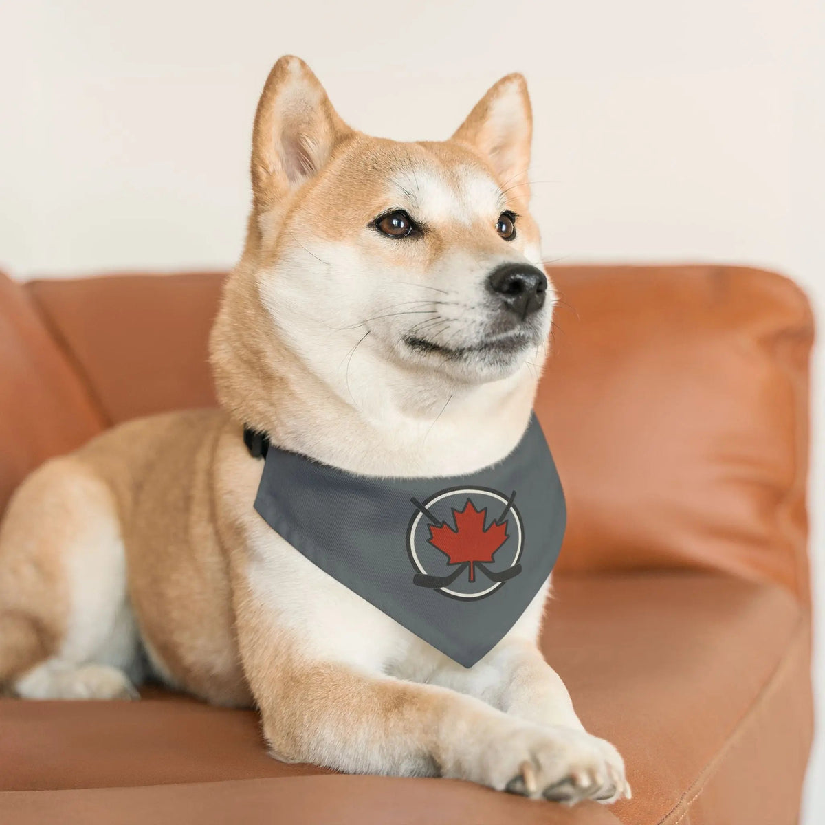 Pet bandana collar product image 7