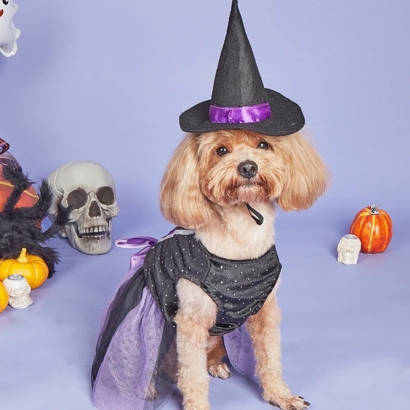 Witch Hat Dog Dress | Halloween Costume product image 2