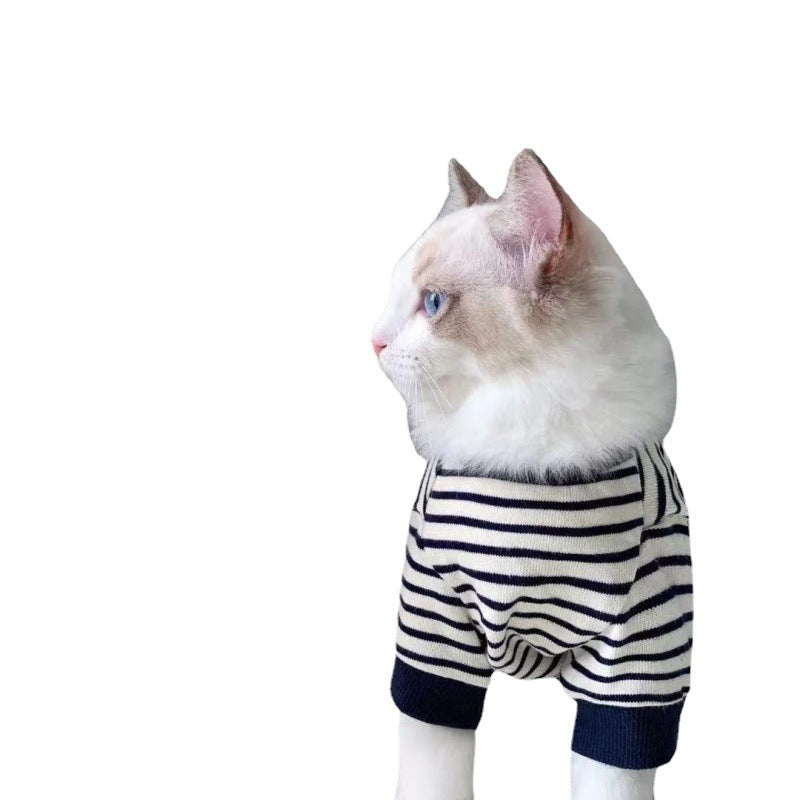 Cat in a striped puppet sweater on a white background, side view