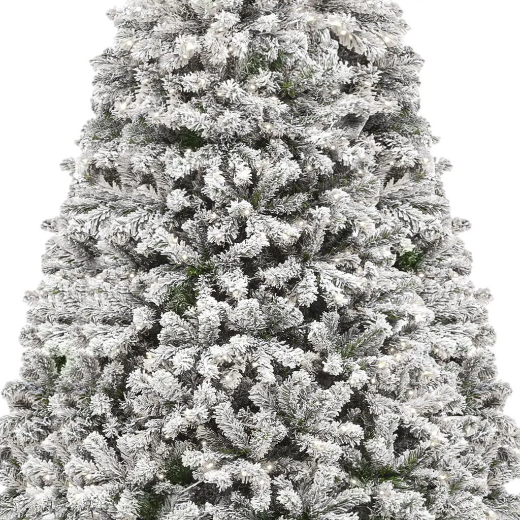 Close-up of snow-flocked branch tips