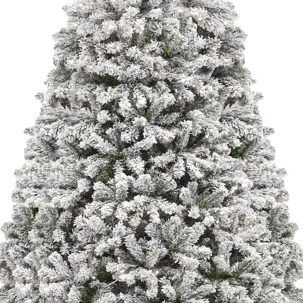 Close-up of snow-flocked branch tips