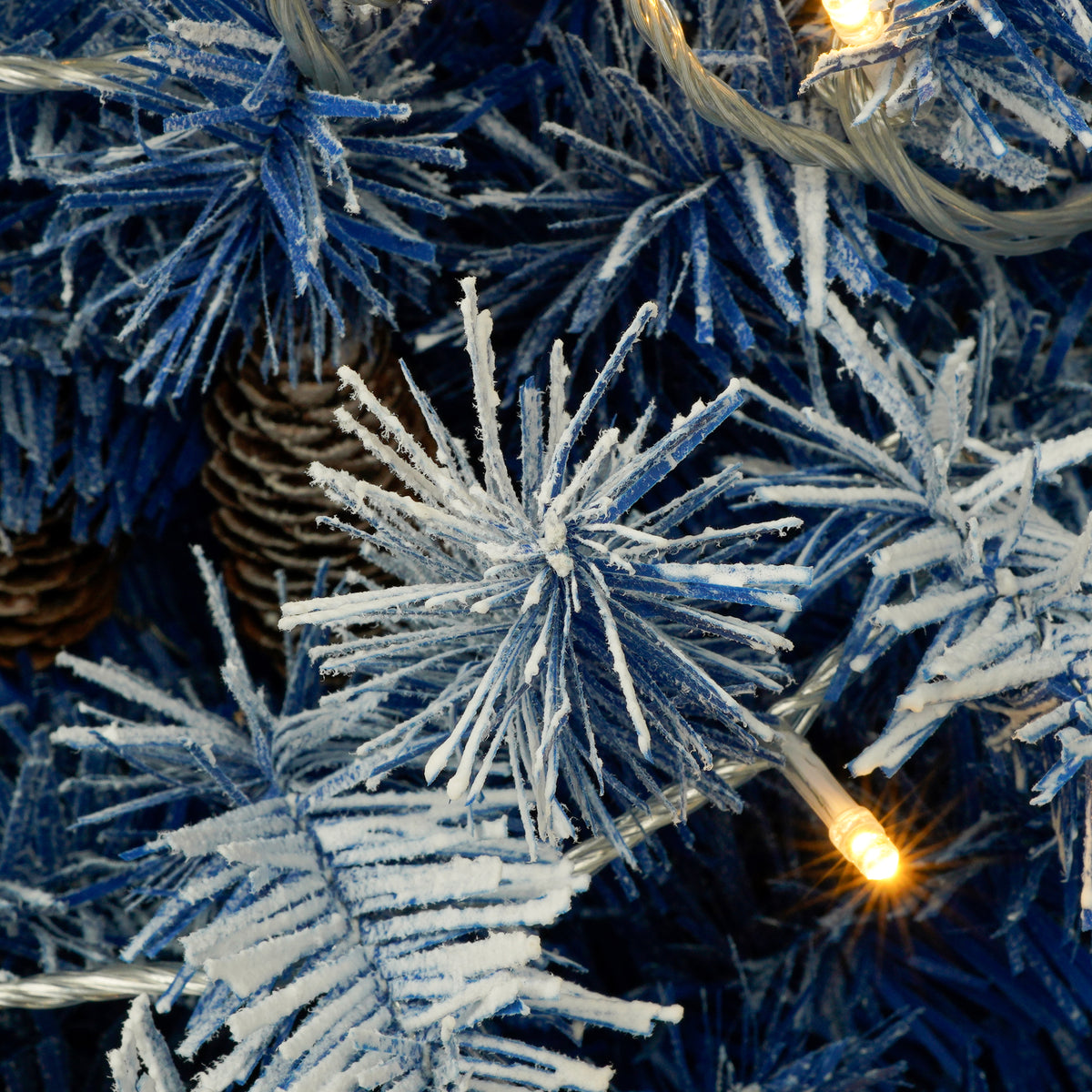 Snow-dusted blue branches with a glowing light