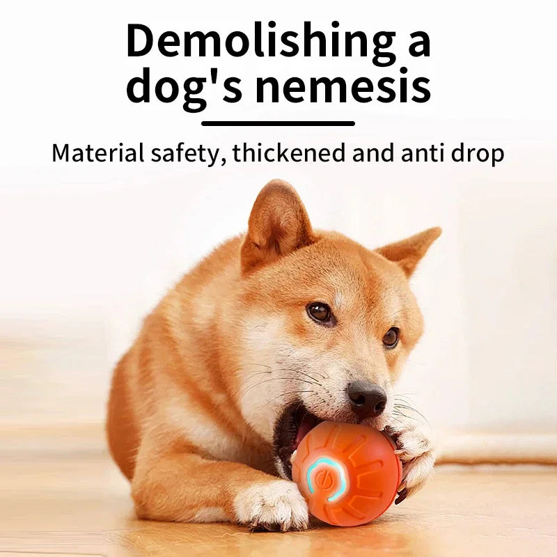 Shiba Inu playing with the orange smart dog toy ball — thick, bite-resistant shell