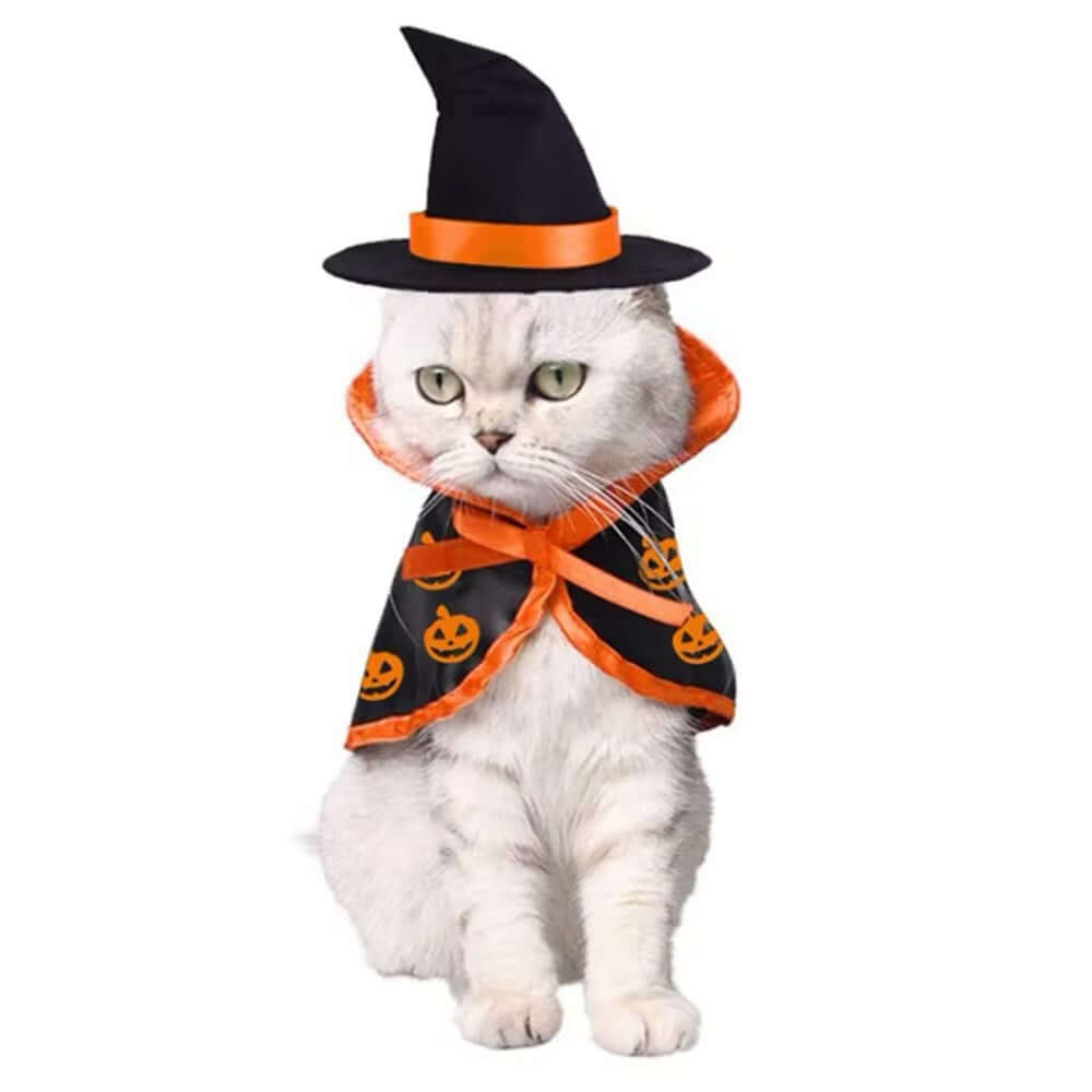 Pumpkin Witch Halloween Costume for Dogs – Fall Dog Outfit