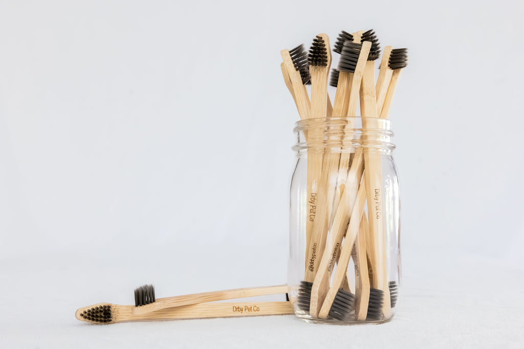Jar full of Drby dual-end bamboo pet toothbrushes