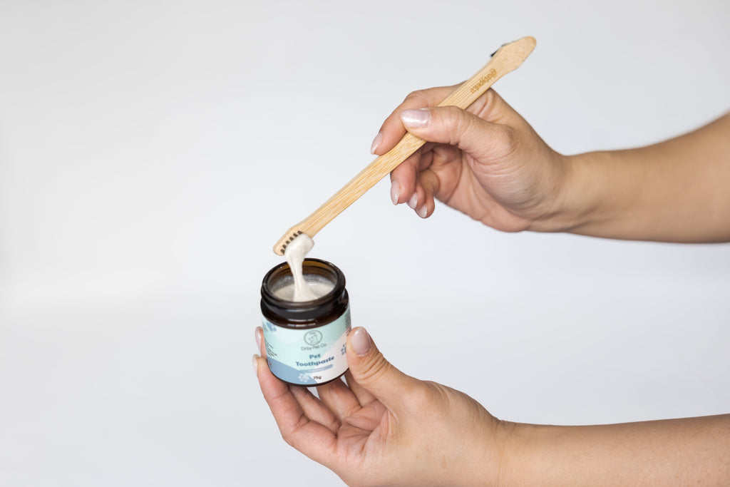 Dipping the bamboo pet toothbrush into Drby pet toothpaste